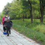 SAM_5868